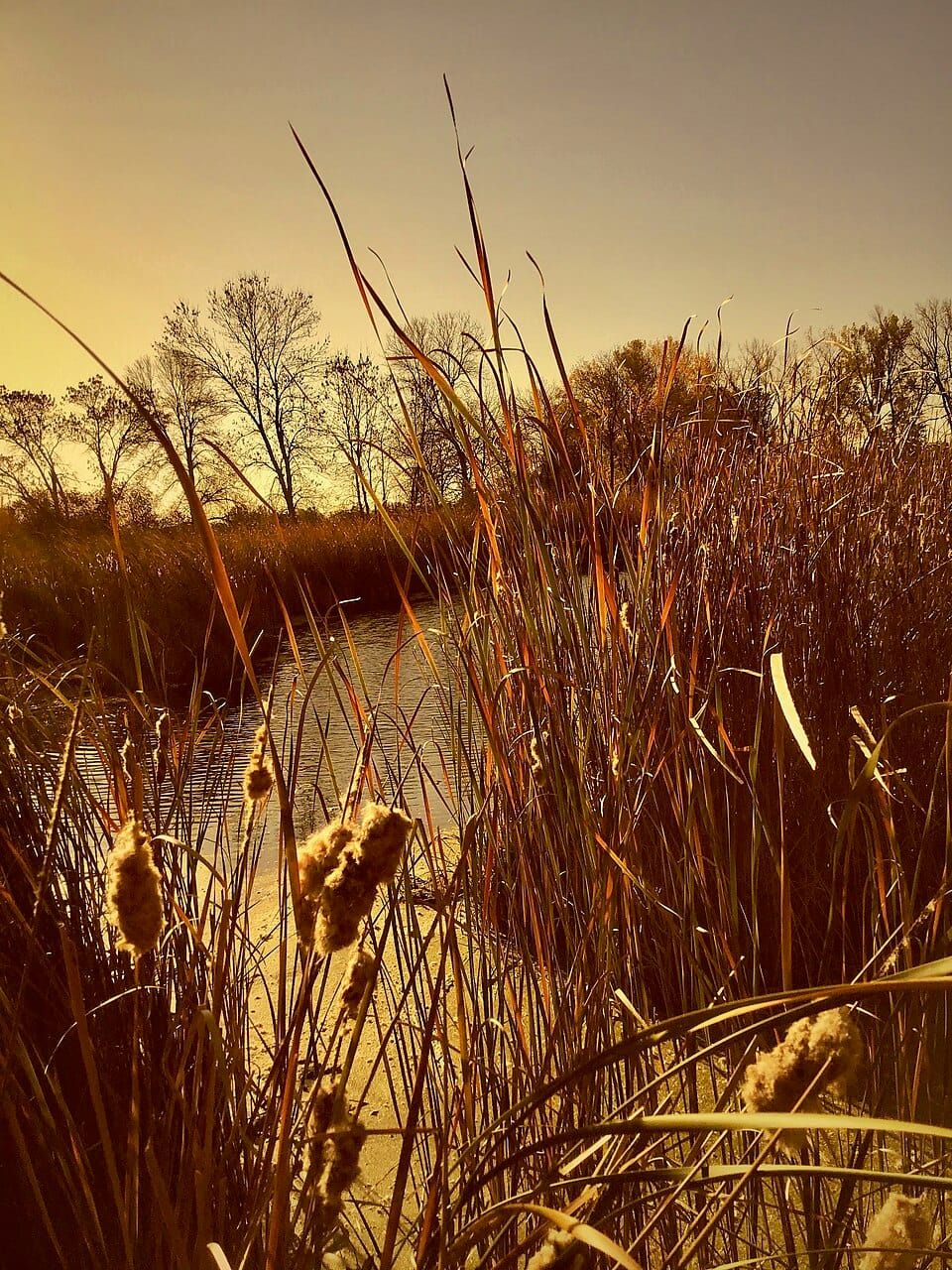 Schmidt Lake