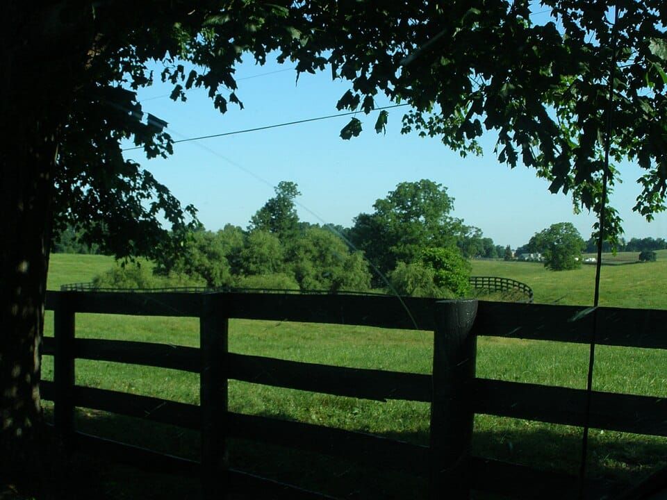 Buck Pond