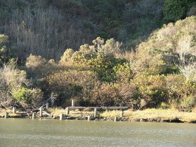 Navarro Beach
