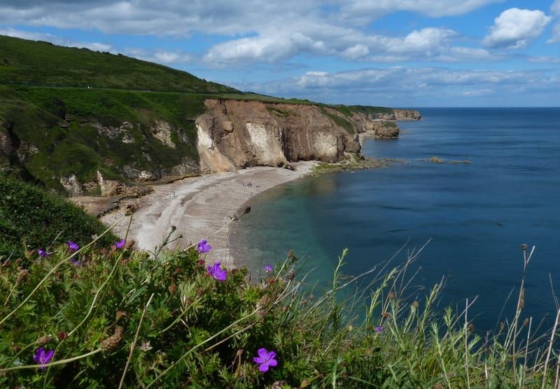 Shippersea Bay