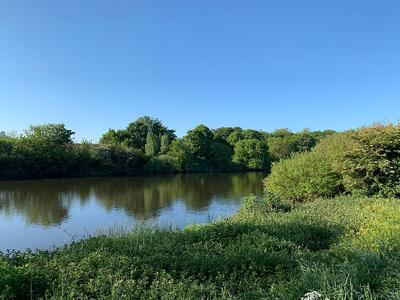 River Trent
