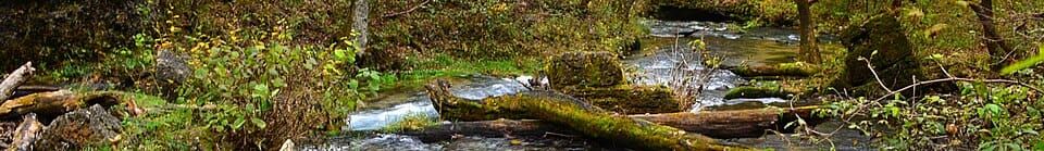 Greer Spring