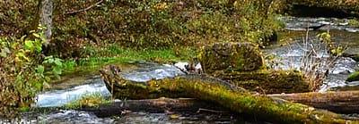 Greer Spring