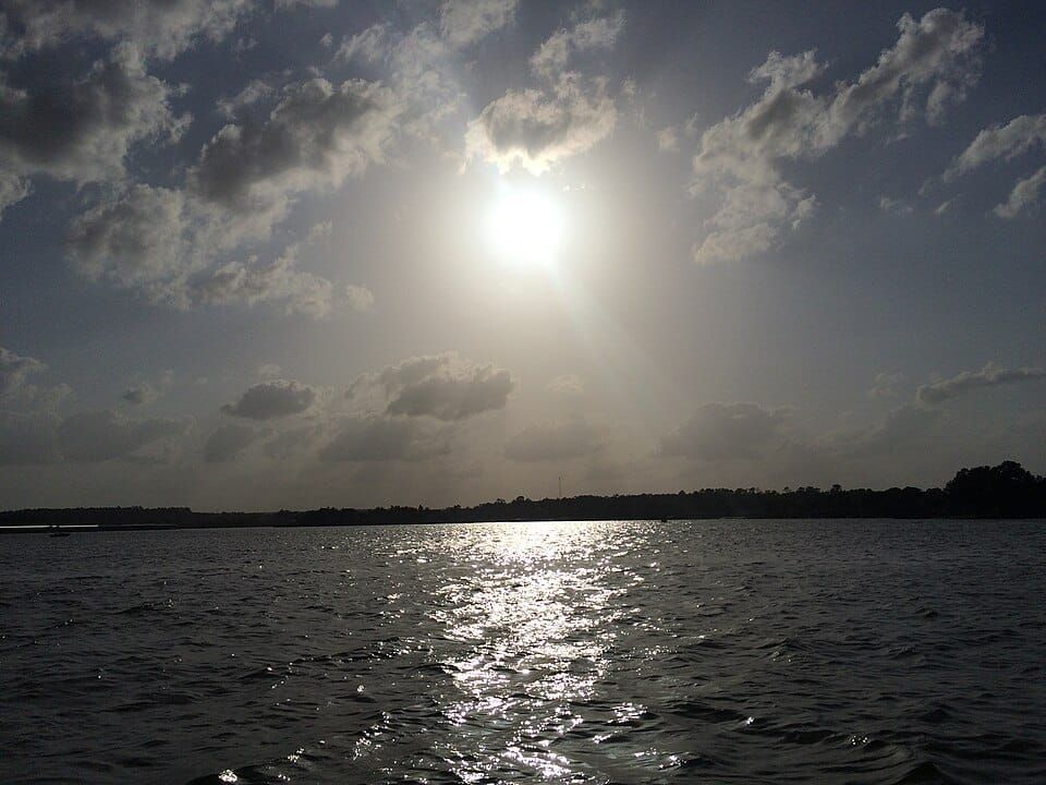 Lake Conroe Beach Park ( Lake Conroe Park )