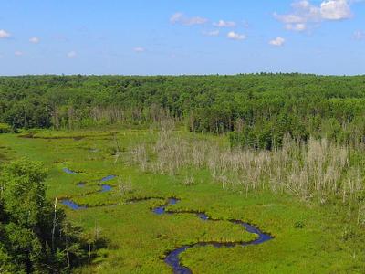 Moss Lake