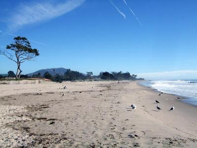 Carpinteria City Beach