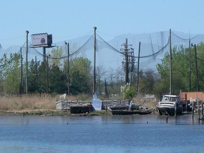 River Barge Park and Marina