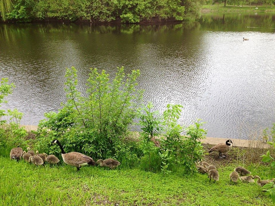 Powderhorn Lake