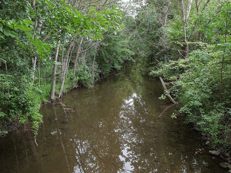 Coldwater River