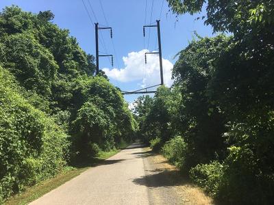 Schuylkill River Trail Head