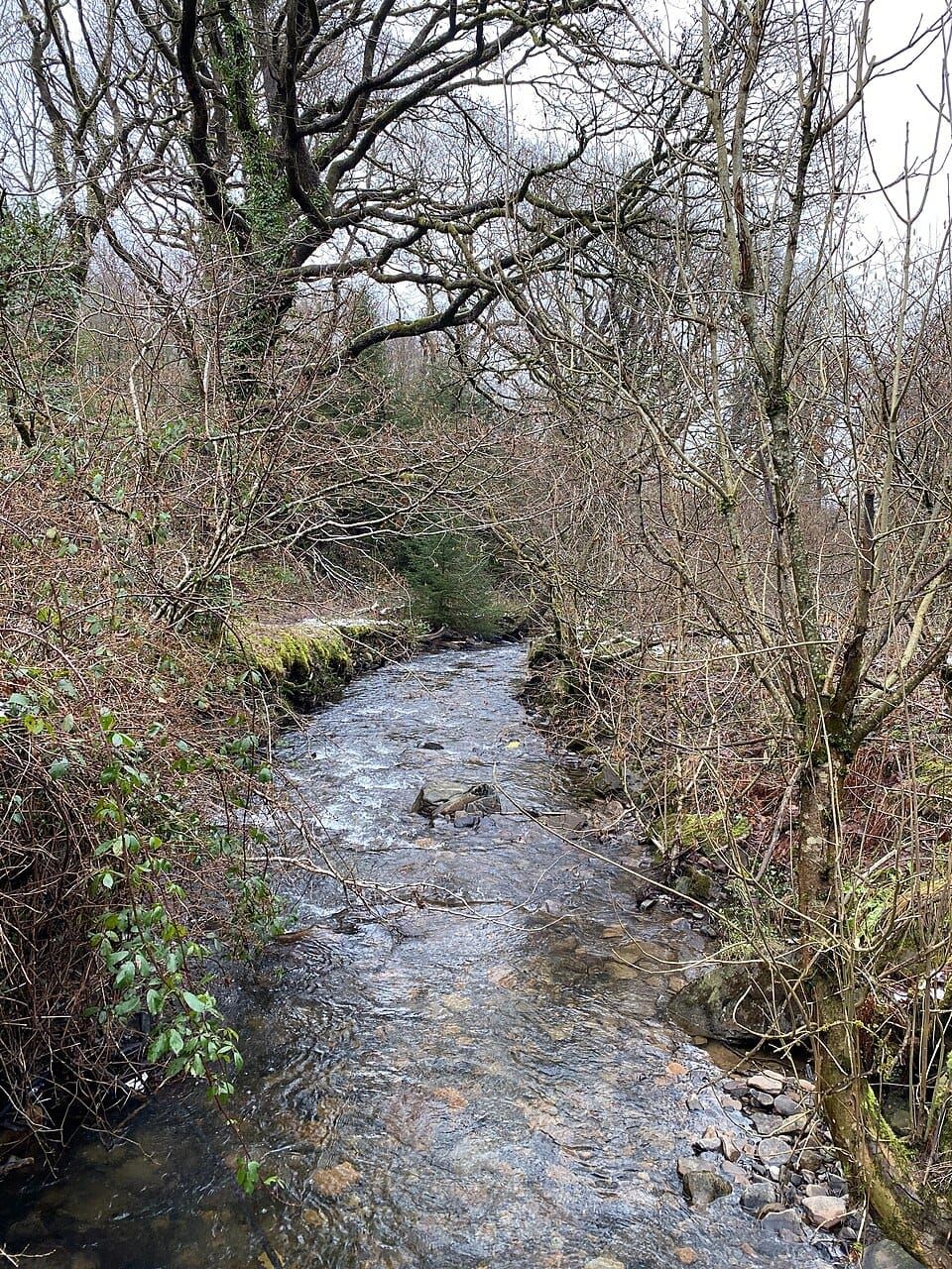 Llanwonno