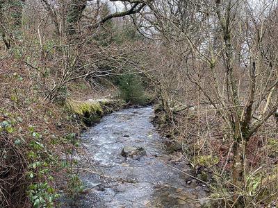 Llanwonno