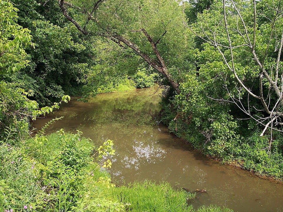 Walker Creek