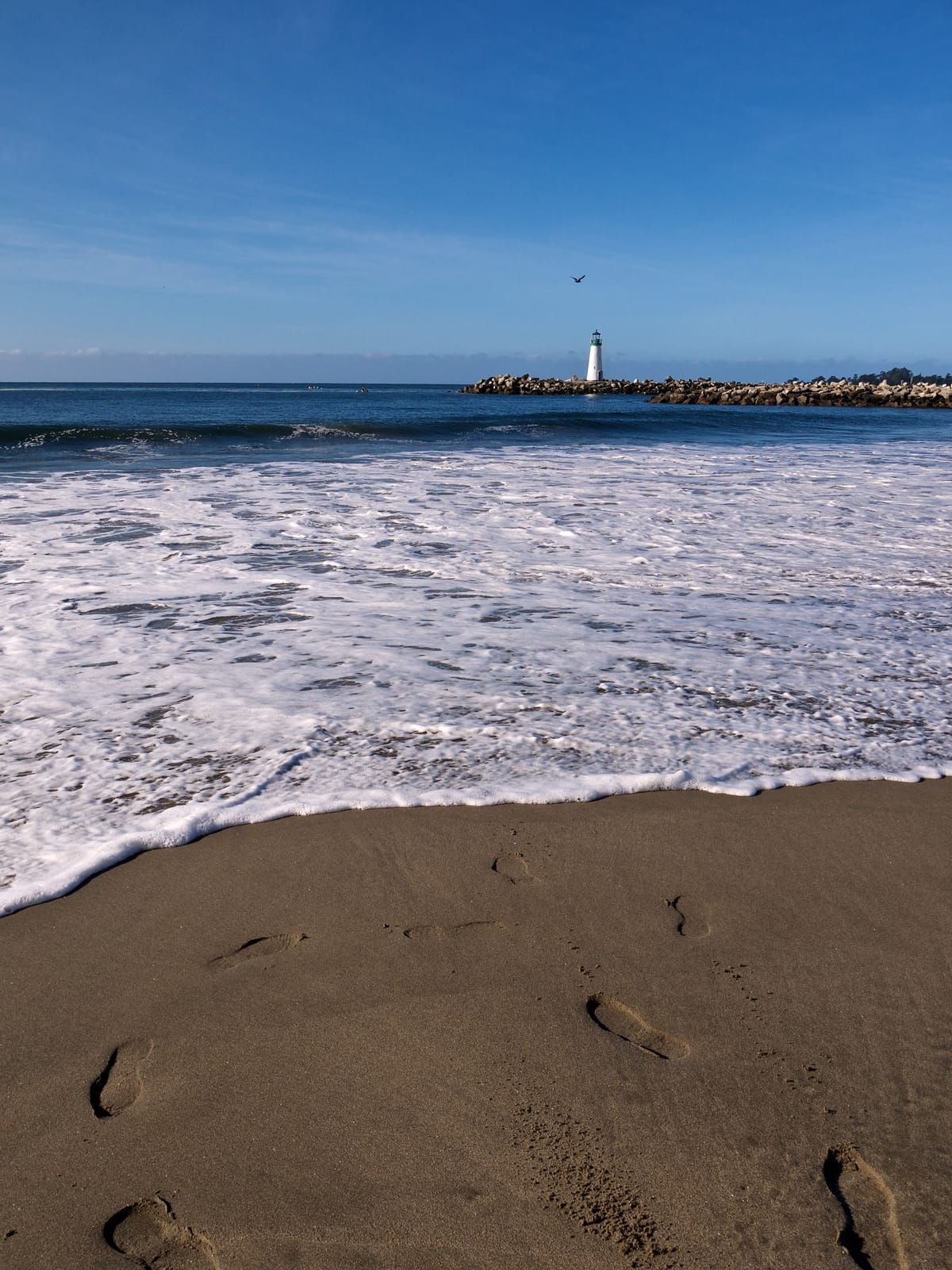 Sunny Cove
