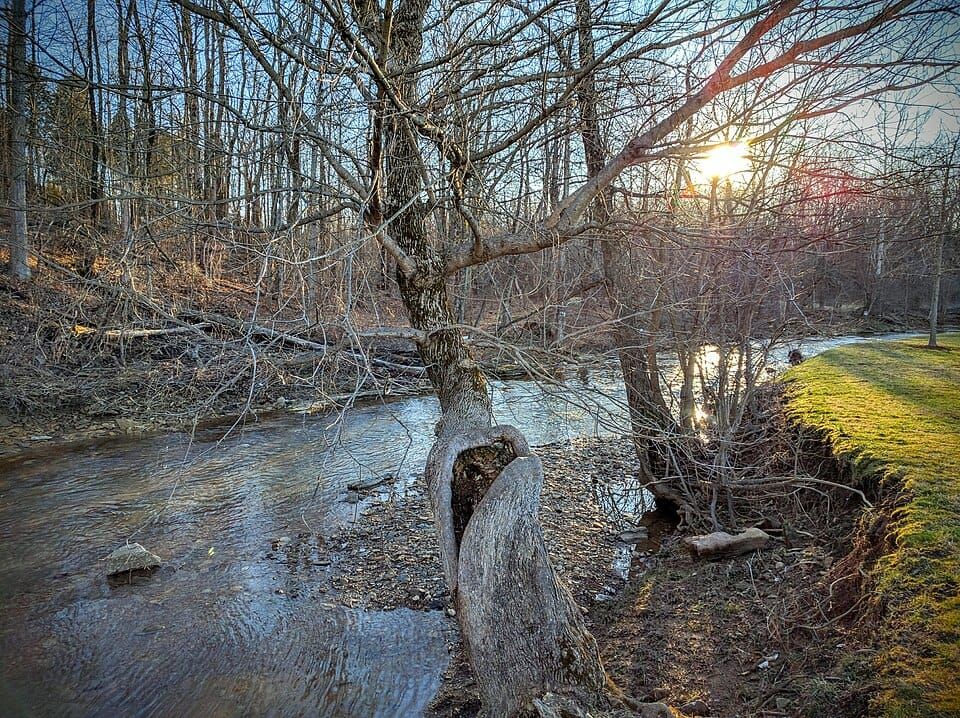 Georgetown Creek