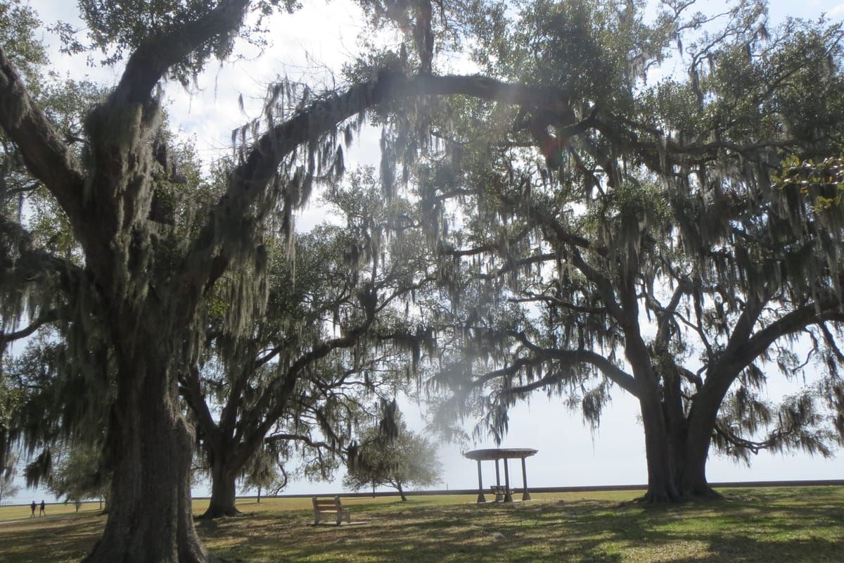 Mandeville Lakefront Splash Park