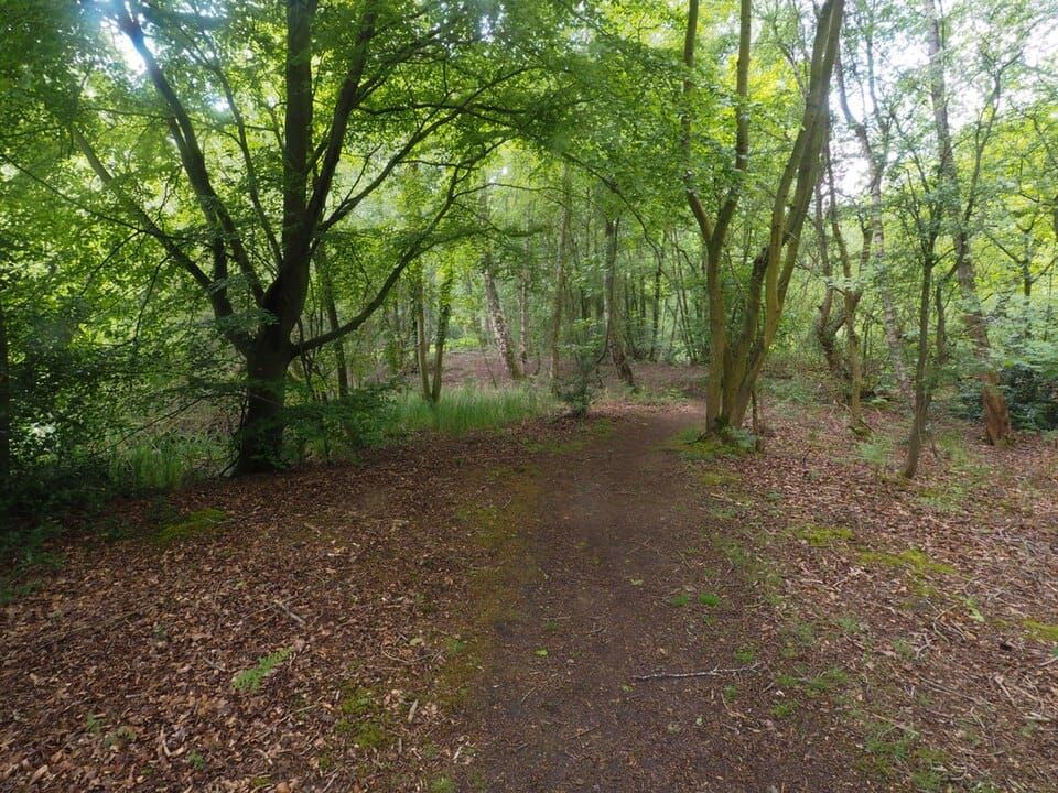 Thompson Water