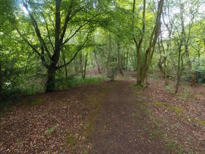 Thompson Water