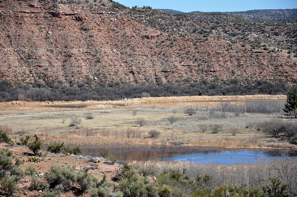 Pecks Lake