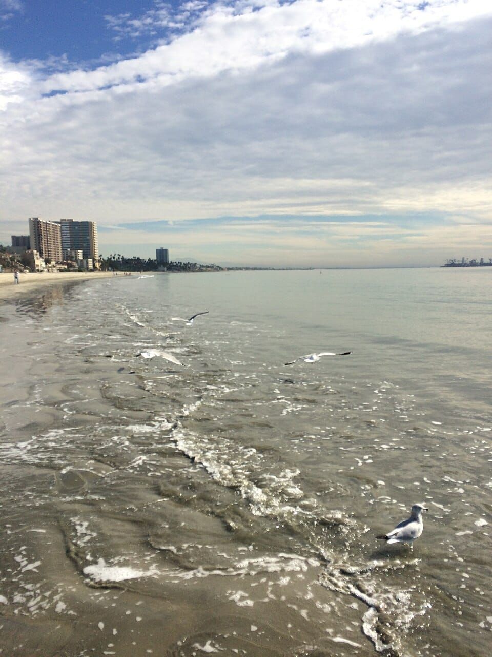 Alamitos Beach