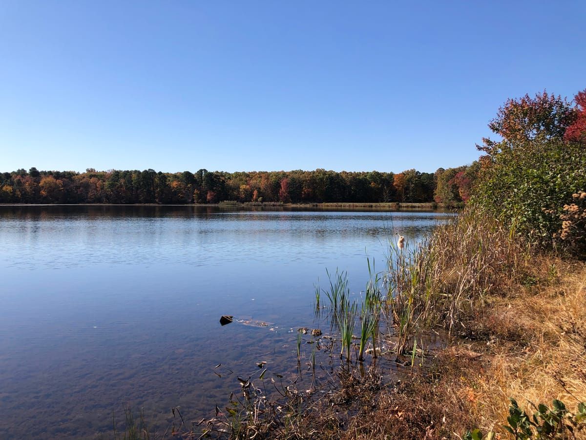 Prospertown Lake