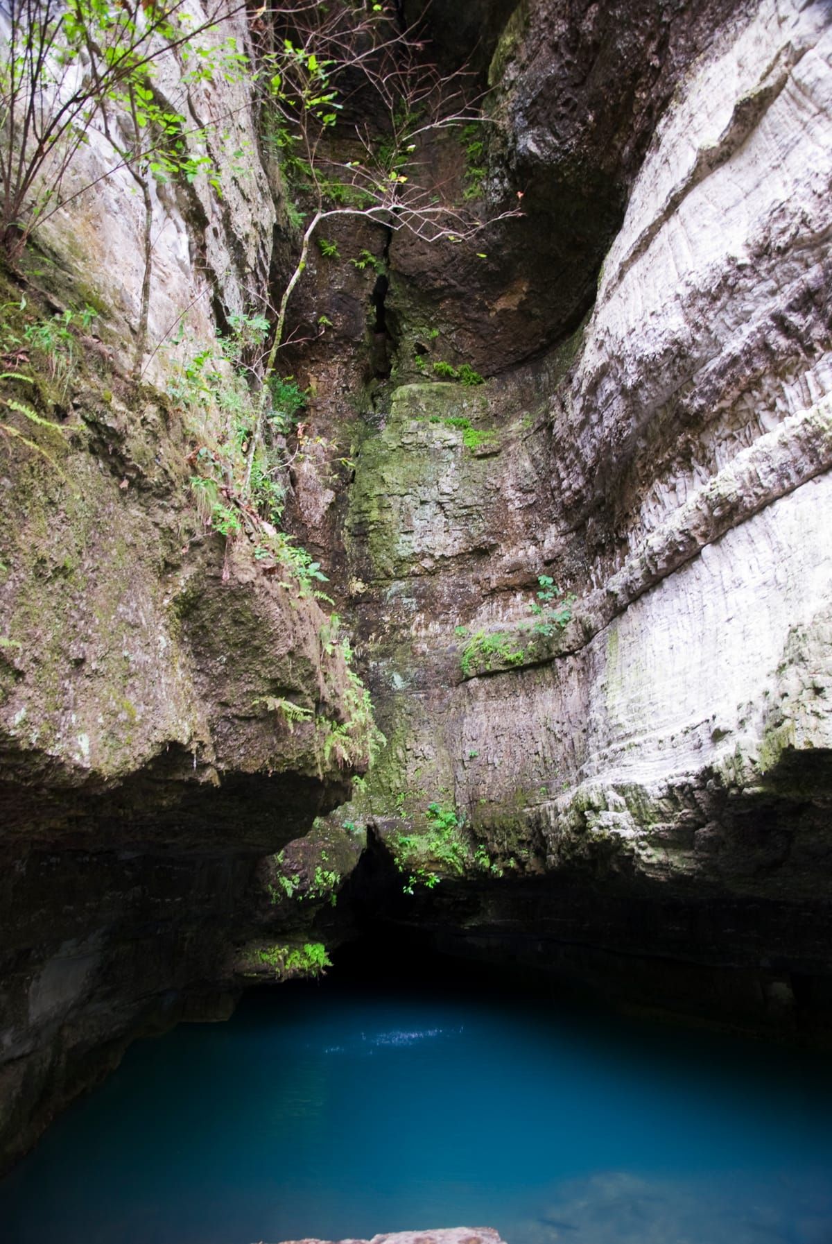 Roaring River