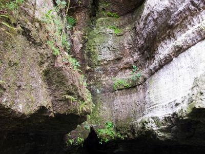 Roaring River