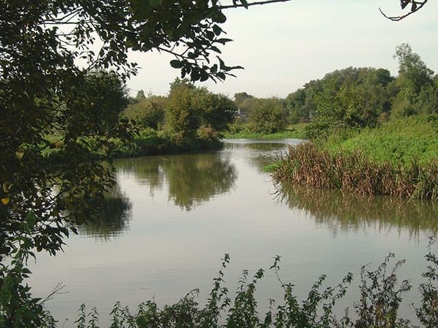 River Stort