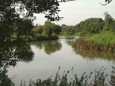 River Stort