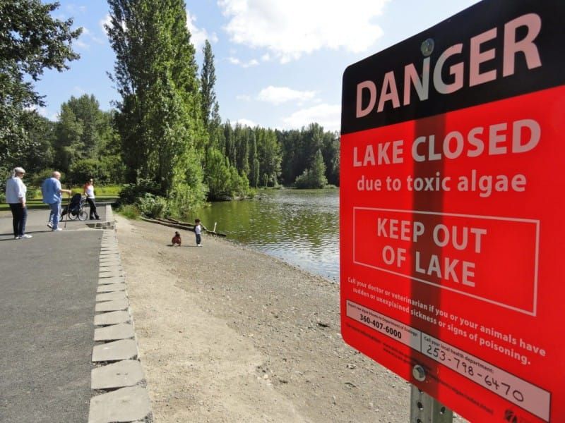 Waughop Lake