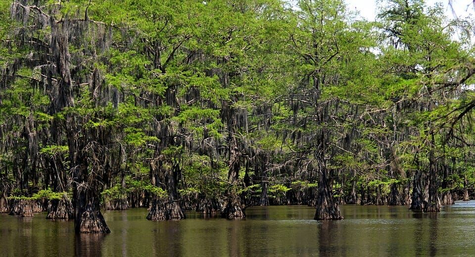 Harrison County Lake