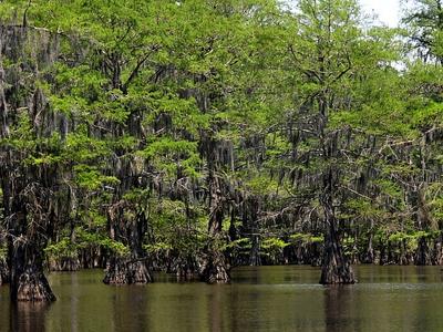 Harrison County Lake