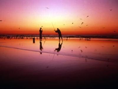 Worlds Most Famous Beach Daytona Beach