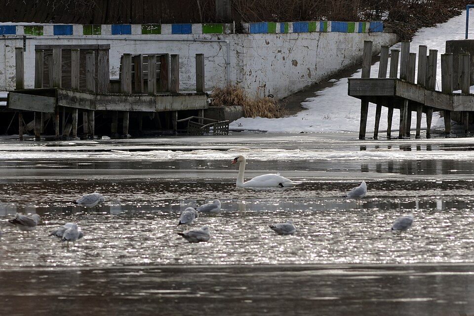 Fox River
