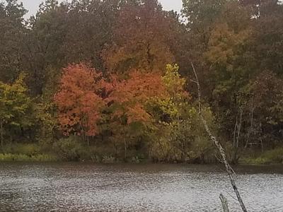 Roby Lake