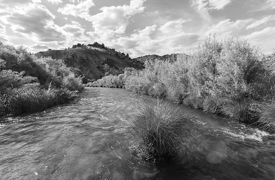 Black River Wild Forest