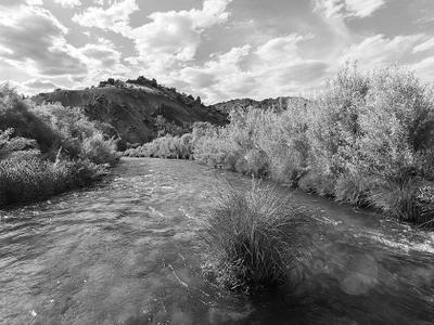 Black River Wild Forest