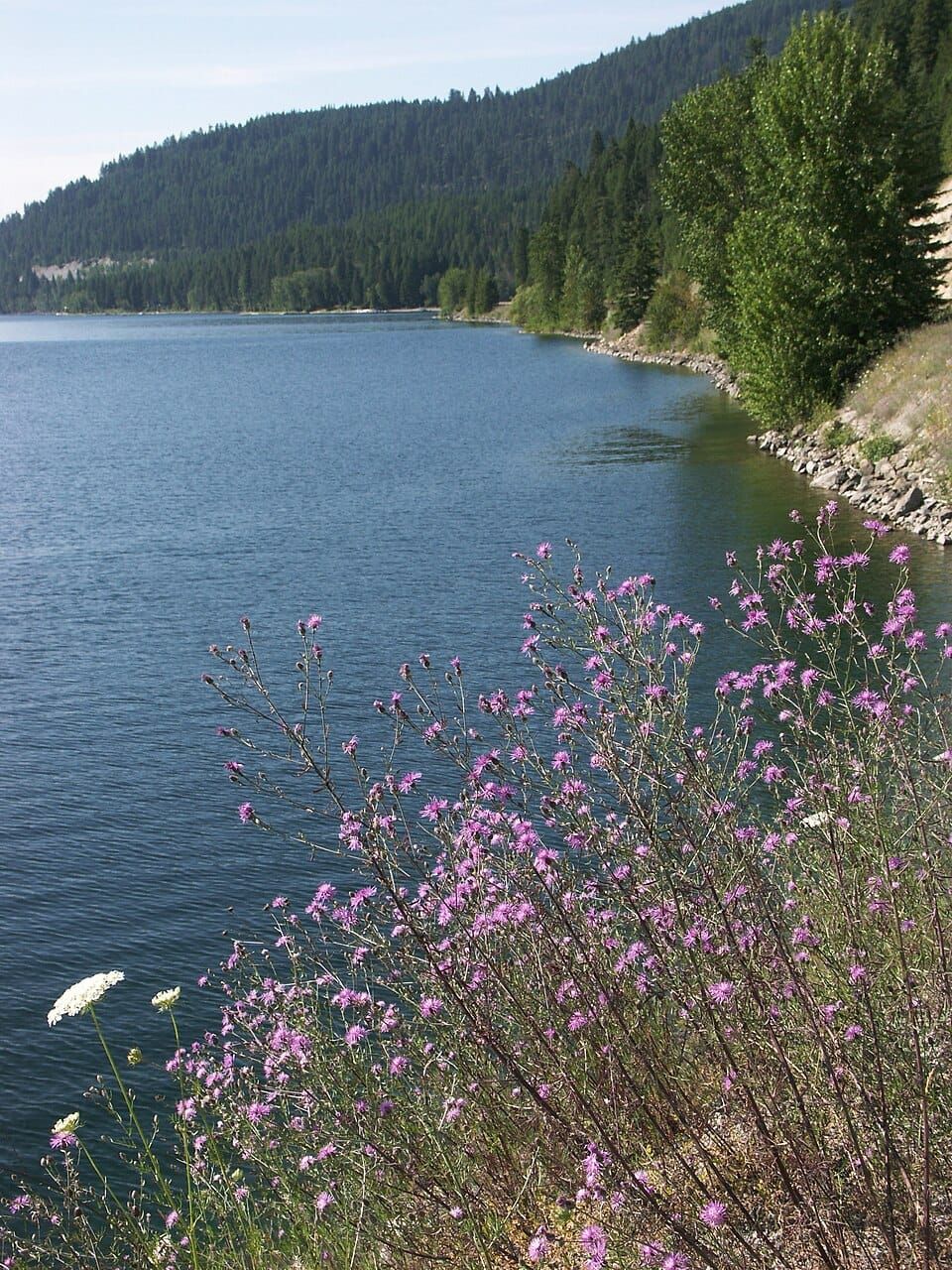 Lake McDonald