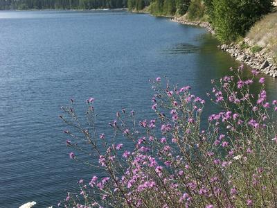 Lake McDonald