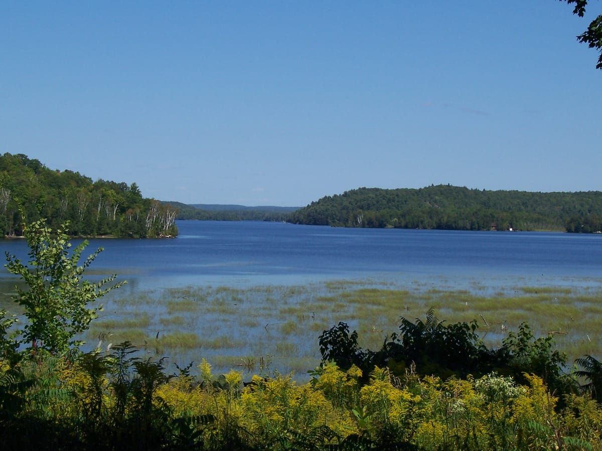Lake Limerick