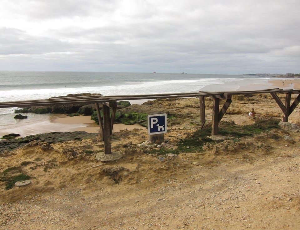 Bark Park Dog Beach