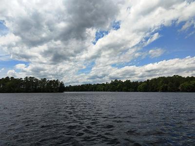 Atsion Lake
