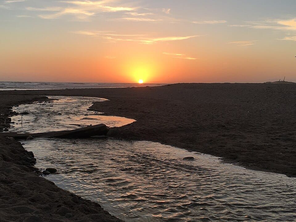 Surfers Point dunes