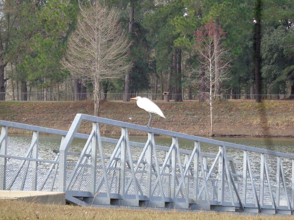 Earle May Boat Basin Park