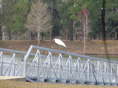 Earle May Boat Basin Park