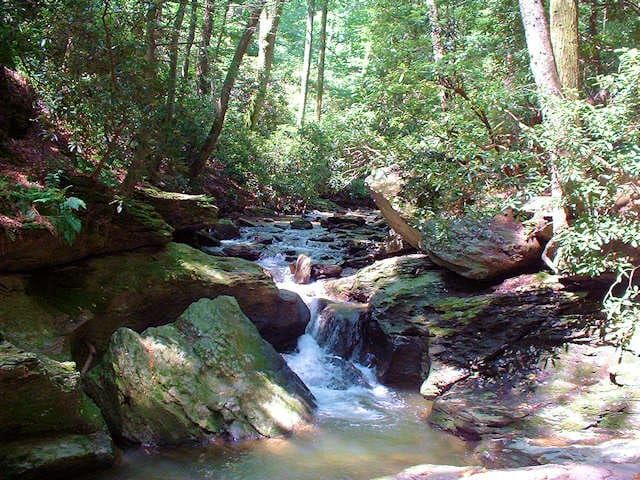 Tucquan Creek