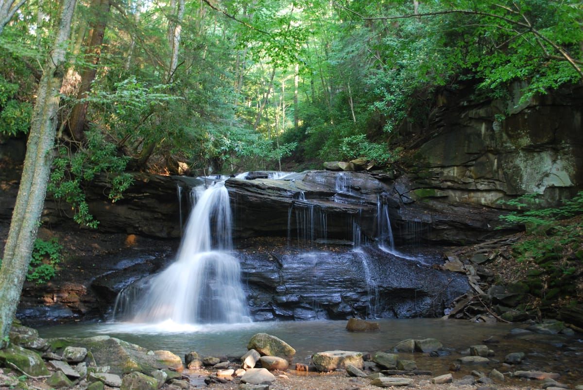Holly River State Park
