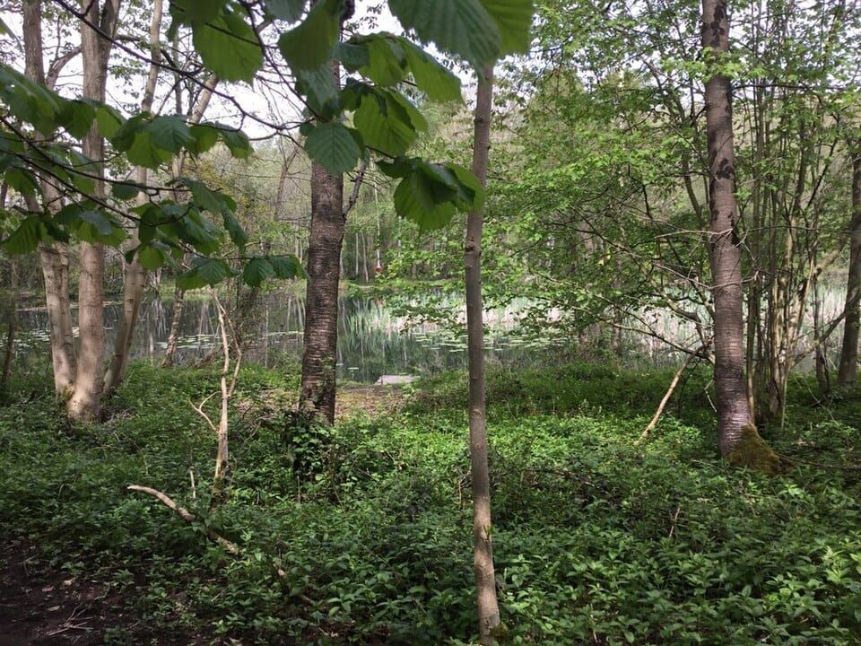 Springwood Lakes