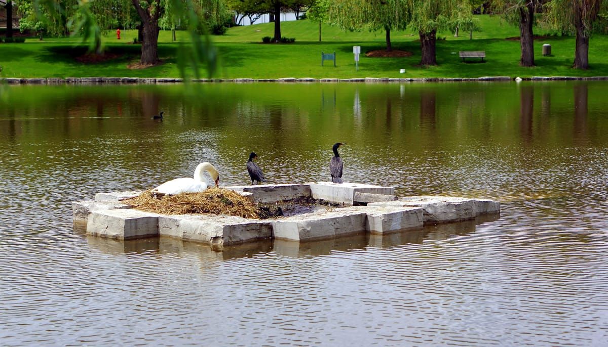 Volkening Lake