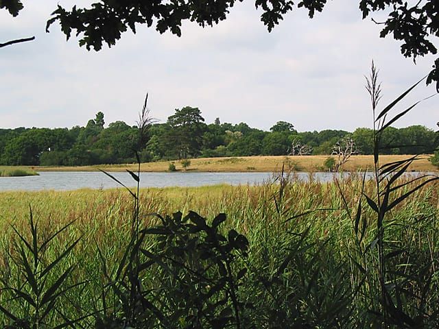 Curbridge Creek